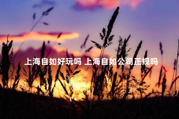 上海自如好玩吗 上海自如公司正规吗